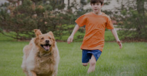 A little boy and a golden retriever running together in a field.